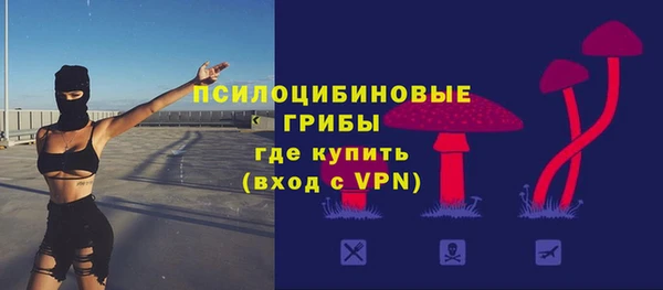 прущие крисы Краснослободск