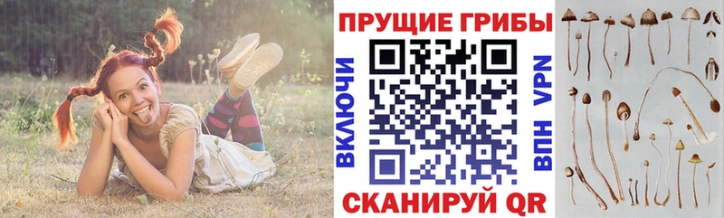 Псилоцибиновые грибы GOLDEN TEACHER  МЕГА ссылки  Советская Гавань  где можно купить  