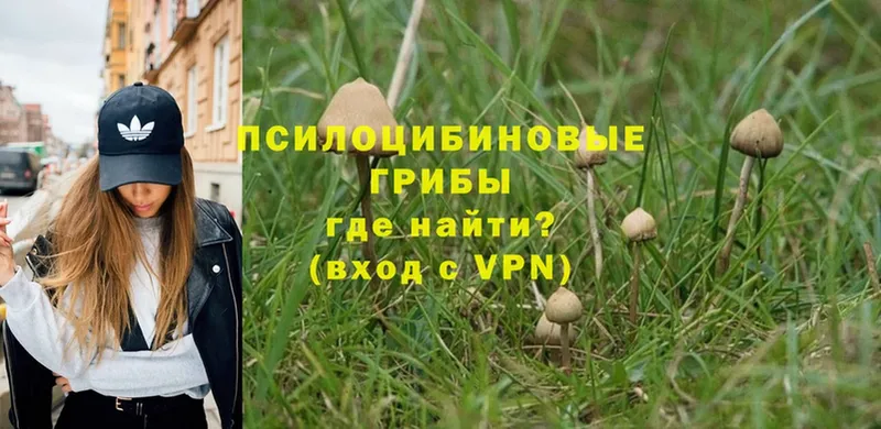 Галлюциногенные грибы Psilocybine cubensis  продажа наркотиков  blacksprut ТОР  Советская Гавань 