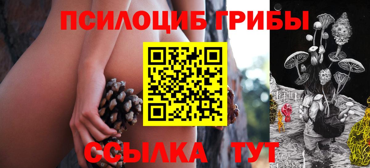 Псилоцибиновые грибы прущие грибы  Вход с VPN  Советская Гавань 