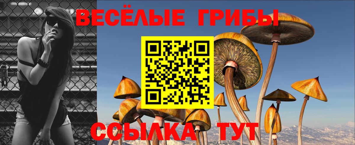 Марихуана  Ketamine  Меф  МАРИХУАНА  Хэш  LSD-25  Советская Гавань  Вход с VPN  ГАШИШ 