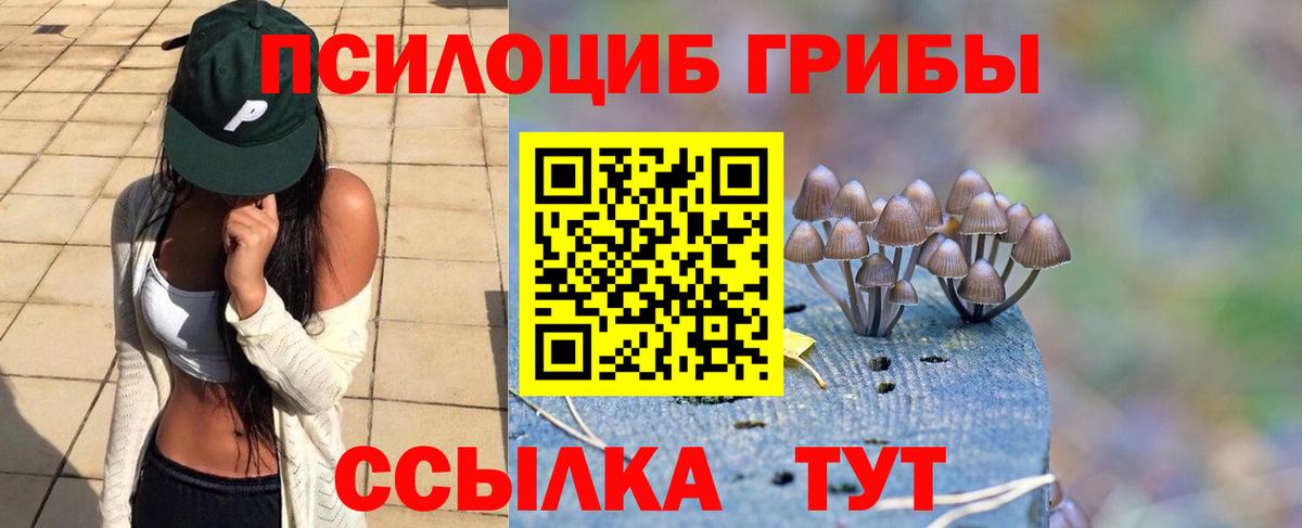 Галлюциногенные грибы Magic Shrooms Советская Гавань